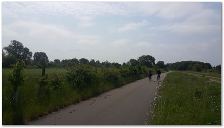 20160605_110411.jpg David MacKay,Darwin College, St Ives, Bike ride, David MacKay Memorial Fund