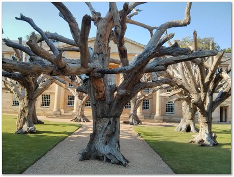 Kazu Hase, Girish Venkata Nivarti, Steel trees