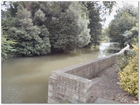 img_20160803_134630.jpg Chips, Switzerland, Jiawen Chen, Stephan Forsik, food festival in Darwin College, chocolates, Mathew Peet