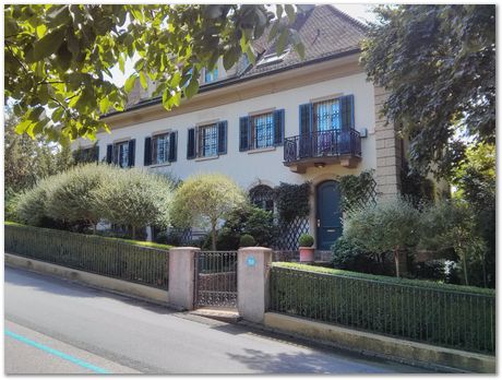 img_20160806_124415.jpg Chips, Switzerland, Jiawen Chen, Stephan Forsik, food festival in Darwin College, chocolates, Mathew Peet