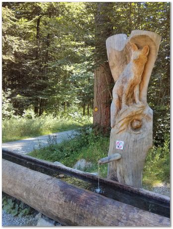 img_20160807_124626.jpg Chips, Switzerland, Jiawen Chen, Stephan Forsik, food festival in Darwin College, chocolates, Mathew Peet