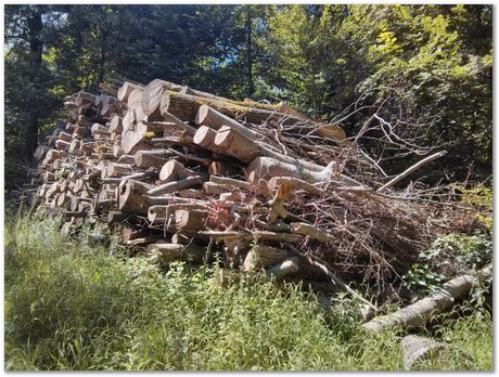 img_20160807_141102.jpg Chips, Switzerland, Jiawen Chen, Stephan Forsik, food festival in Darwin College, chocolates, Mathew Peet