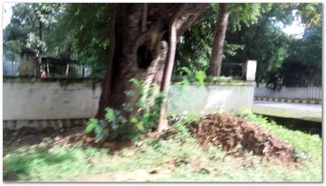 2016, Tata Steel, Harry Bhadeshia, Research, metallurgy, Jamshedpur