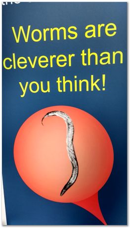 img_20170617_111856146_hdr.jpg Open day, Laboratory of Molecular Biology, Cambridge, MRC, LMB