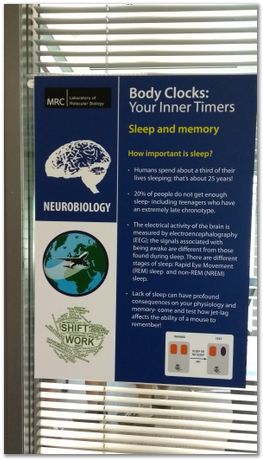 img_20170617_114516871.jpg Open day, Laboratory of Molecular Biology, Cambridge, MRC, LMB