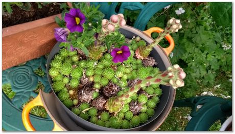 img_20170617_161914222.jpg Open day, Laboratory of Molecular Biology, Cambridge, MRC, LMB