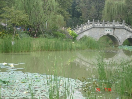 Di Wen, Wen Di, Harry Bhadeshia, Wuhan, WUST, КИТАЙСЕНТ17 019