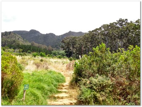 img_20171209_112115893_hdr.jpg EMSA conference, 2017, University of Cape Town, Robert Knutsen, Harry Bhadeshia