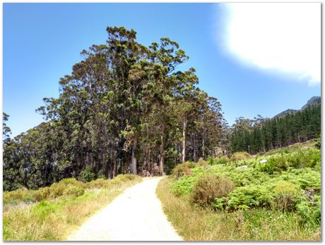 img_20171209_112304405_hdr.jpg EMSA conference, 2017, University of Cape Town, Robert Knutsen, Harry Bhadeshia