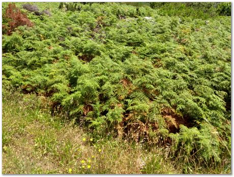 img_20171209_112327737.jpg EMSA conference, 2017, University of Cape Town, Robert Knutsen, Harry Bhadeshia