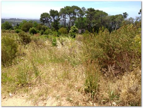 img_20171209_112349868.jpg EMSA conference, 2017, University of Cape Town, Robert Knutsen, Harry Bhadeshia