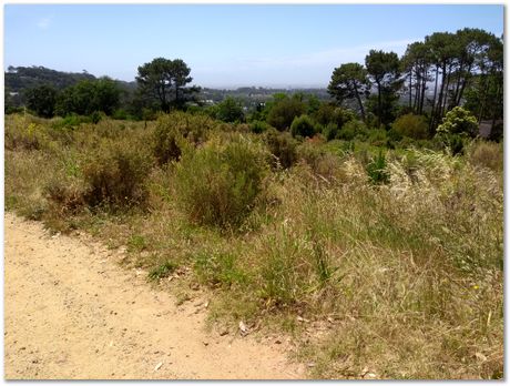 img_20171209_112353796.jpg EMSA conference, 2017, University of Cape Town, Robert Knutsen, Harry Bhadeshia