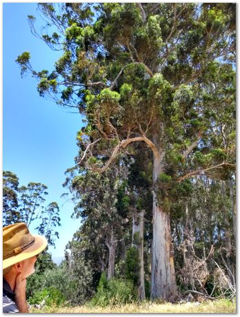 img_20171209_112517611_hdr.jpg EMSA conference, 2017, University of Cape Town, Robert Knutsen, Harry Bhadeshia