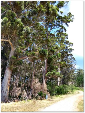 img_20171209_112524276_hdr.jpg EMSA conference, 2017, University of Cape Town, Robert Knutsen, Harry Bhadeshia