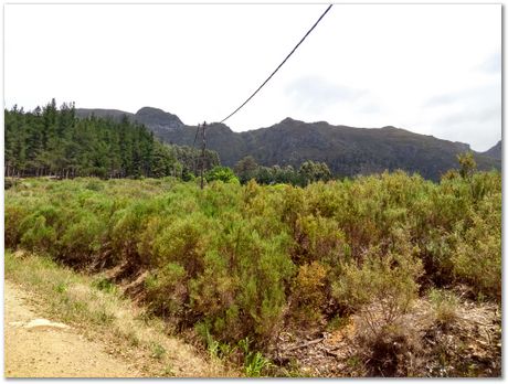 img_20171209_112552268_hdr.jpg EMSA conference, 2017, University of Cape Town, Robert Knutsen, Harry Bhadeshia