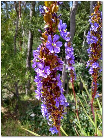 img_20171209_113441141_hdr.jpg EMSA conference, 2017, University of Cape Town, Robert Knutsen, Harry Bhadeshia