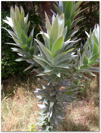 img_20171209_113555174.jpg EMSA conference, 2017, University of Cape Town, Robert Knutsen, Harry Bhadeshia