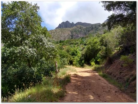 img_20171209_114257155_hdr.jpg EMSA conference, 2017, University of Cape Town, Robert Knutsen, Harry Bhadeshia