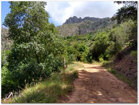 img_20171209_114301592_hdr.jpg EMSA conference, 2017, University of Cape Town, Robert Knutsen, Harry Bhadeshia