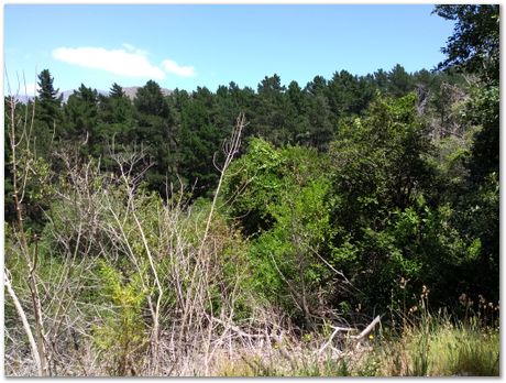 img_20171209_114308925.jpg EMSA conference, 2017, University of Cape Town, Robert Knutsen, Harry Bhadeshia