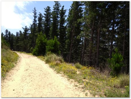 img_20171209_114748230.jpg EMSA conference, 2017, University of Cape Town, Robert Knutsen, Harry Bhadeshia