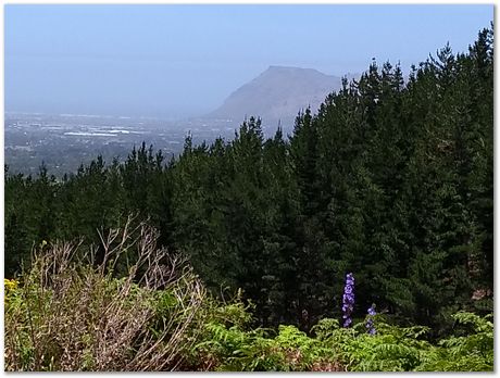 img_20171209_115404131_burst000_cover_top.jpg EMSA conference, 2017, University of Cape Town, Robert Knutsen, Harry Bhadeshia