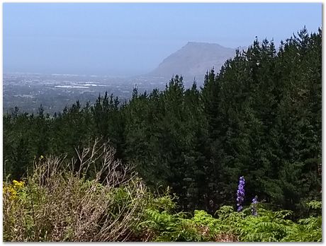 img_20171209_115404131_burst001.jpg EMSA conference, 2017, University of Cape Town, Robert Knutsen, Harry Bhadeshia