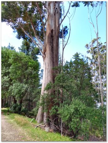 img_20171209_120008947_hdr.jpg EMSA conference, 2017, University of Cape Town, Robert Knutsen, Harry Bhadeshia