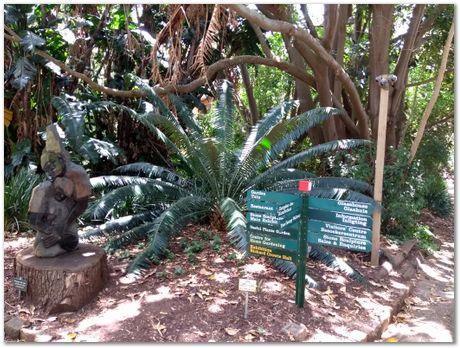 img_20171209_122838907.jpg EMSA conference, 2017, University of Cape Town, Robert Knutsen, Harry Bhadeshia