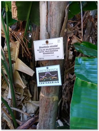 img_20171209_122941995_hdr.jpg EMSA conference, 2017, University of Cape Town, Robert Knutsen, Harry Bhadeshia