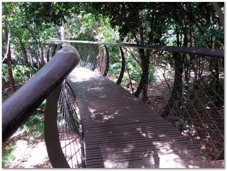 img_20171209_123828357.jpg EMSA conference, 2017, University of Cape Town, Robert Knutsen, Harry Bhadeshia