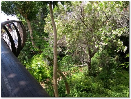 img_20171209_123915235.jpg EMSA conference, 2017, University of Cape Town, Robert Knutsen, Harry Bhadeshia