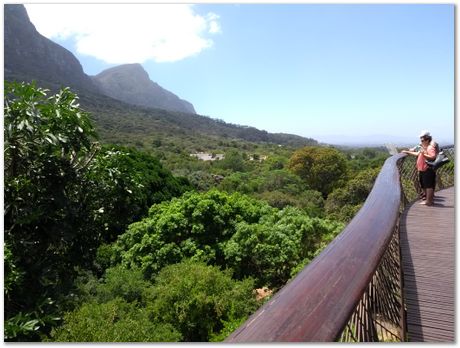 img_20171209_123934197.jpg EMSA conference, 2017, University of Cape Town, Robert Knutsen, Harry Bhadeshia