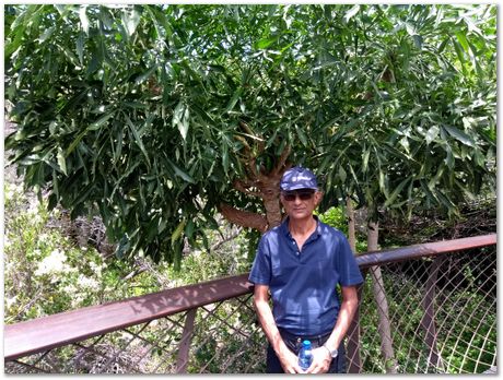 img_20171209_124005193.jpg EMSA conference, 2017, University of Cape Town, Robert Knutsen, Harry Bhadeshia