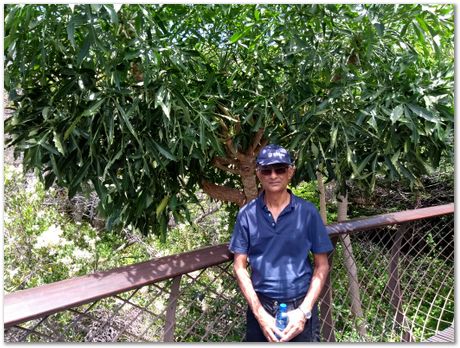 img_20171209_124008123.jpg EMSA conference, 2017, University of Cape Town, Robert Knutsen, Harry Bhadeshia