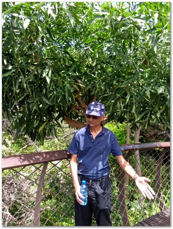 img_20171209_124016129.jpg EMSA conference, 2017, University of Cape Town, Robert Knutsen, Harry Bhadeshia