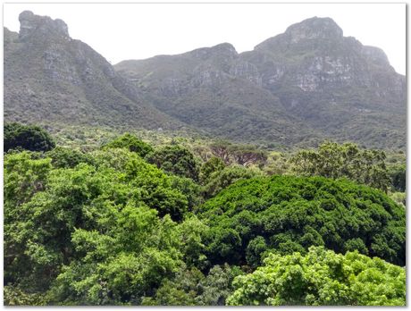 img_20171209_124054982_hdr.jpg EMSA conference, 2017, University of Cape Town, Robert Knutsen, Harry Bhadeshia