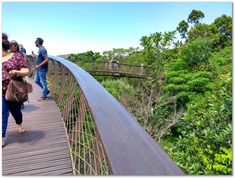 img_20171209_124104849_hdr.jpg EMSA conference, 2017, University of Cape Town, Robert Knutsen, Harry Bhadeshia