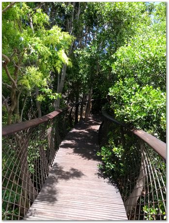 img_20171209_124307380.jpg EMSA conference, 2017, University of Cape Town, Robert Knutsen, Harry Bhadeshia