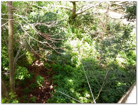 img_20171209_124357958.jpg EMSA conference, 2017, University of Cape Town, Robert Knutsen, Harry Bhadeshia