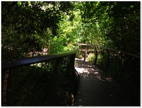 img_20171209_124531270.jpg EMSA conference, 2017, University of Cape Town, Robert Knutsen, Harry Bhadeshia