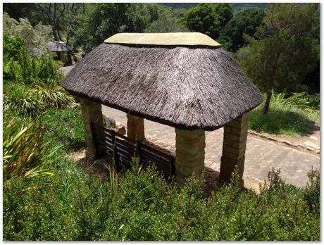 img_20171209_125011814.jpg EMSA conference, 2017, University of Cape Town, Robert Knutsen, Harry Bhadeshia