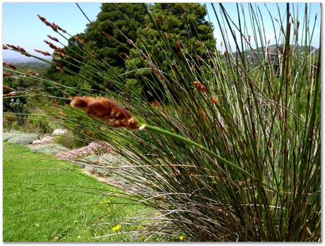 img_20171209_125200815.jpg EMSA conference, 2017, University of Cape Town, Robert Knutsen, Harry Bhadeshia