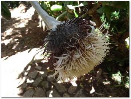 img_20171209_125927922.jpg EMSA conference, 2017, University of Cape Town, Robert Knutsen, Harry Bhadeshia