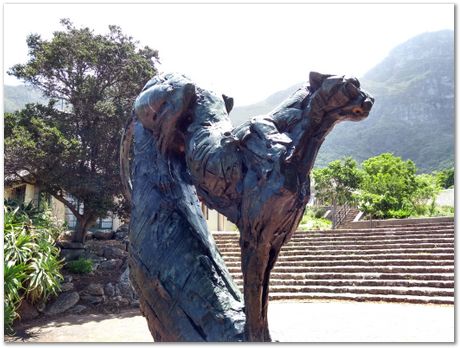 img_20171209_130311081_hdr.jpg EMSA conference, 2017, University of Cape Town, Robert Knutsen, Harry Bhadeshia