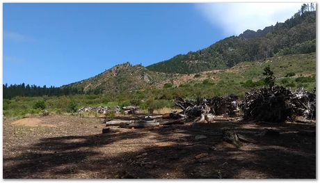 vid_20171209_112957403.jpg EMSA conference, 2017, University of Cape Town, Robert Knutsen, Harry Bhadeshia