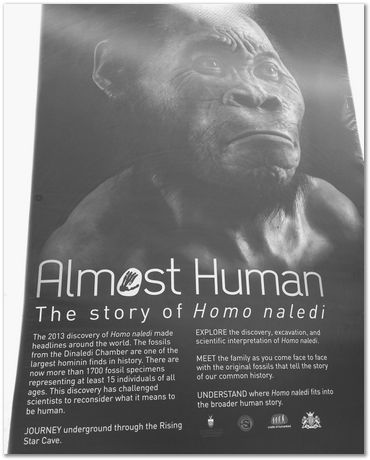 img_20171203_111058086_2.jpg Cradle of humankind, South Africa, University of Pretoria, EMSA conference, 2017, Electron microsopy of south africa, Nelson Mandela University, Cape Town University, Johan Westraadt, Rob Knutsen, Roelf Mostert, Jan Neethling, steel, machine learning Harry Bhadeshia