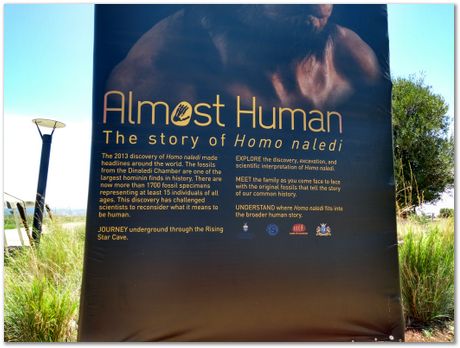 img_20171203_111105352_hdr.jpg Cradle of humankind, South Africa, University of Pretoria, EMSA conference, 2017, Electron microsopy of south africa, Nelson Mandela University, Cape Town University, Johan Westraadt, Rob Knutsen, Roelf Mostert, Jan Neethling, steel, machine learning Harry Bhadeshia