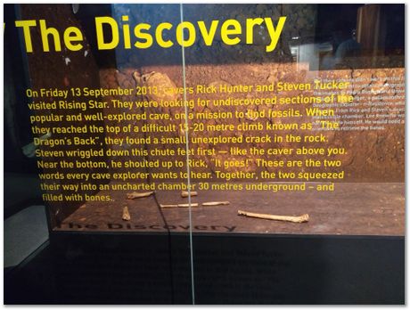 img_20171203_111326934.jpg Cradle of humankind, South Africa, University of Pretoria, EMSA conference, 2017, Electron microsopy of south africa, Nelson Mandela University, Cape Town University, Johan Westraadt, Rob Knutsen, Roelf Mostert, Jan Neethling, steel, machine learning Harry Bhadeshia