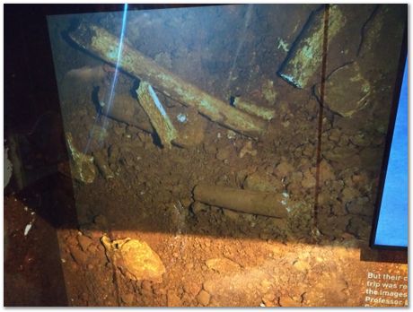 img_20171203_111406128.jpg Cradle of humankind, South Africa, University of Pretoria, EMSA conference, 2017, Electron microsopy of south africa, Nelson Mandela University, Cape Town University, Johan Westraadt, Rob Knutsen, Roelf Mostert, Jan Neethling, steel, machine learning Harry Bhadeshia